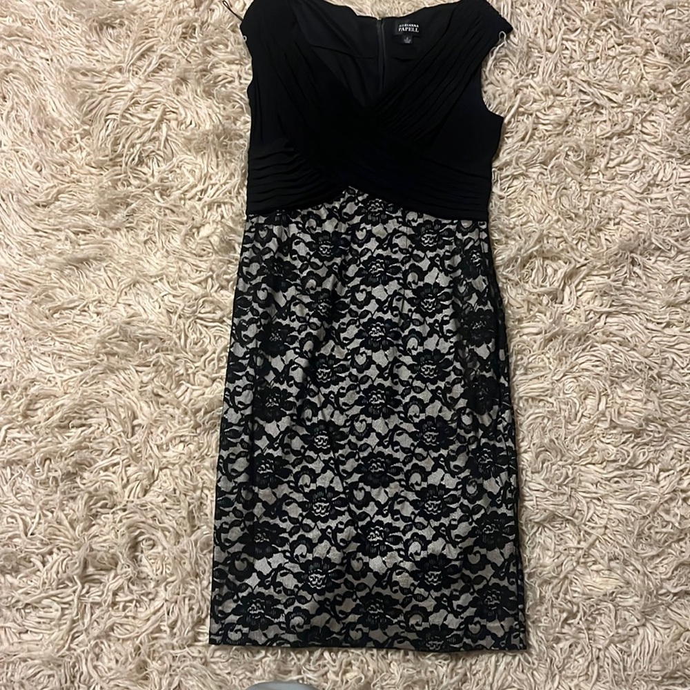 Adrianna Pappel lace sheath dress.